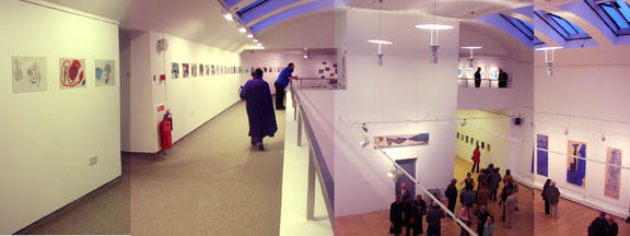 Swimmer at Talbot Rice Gallery 04